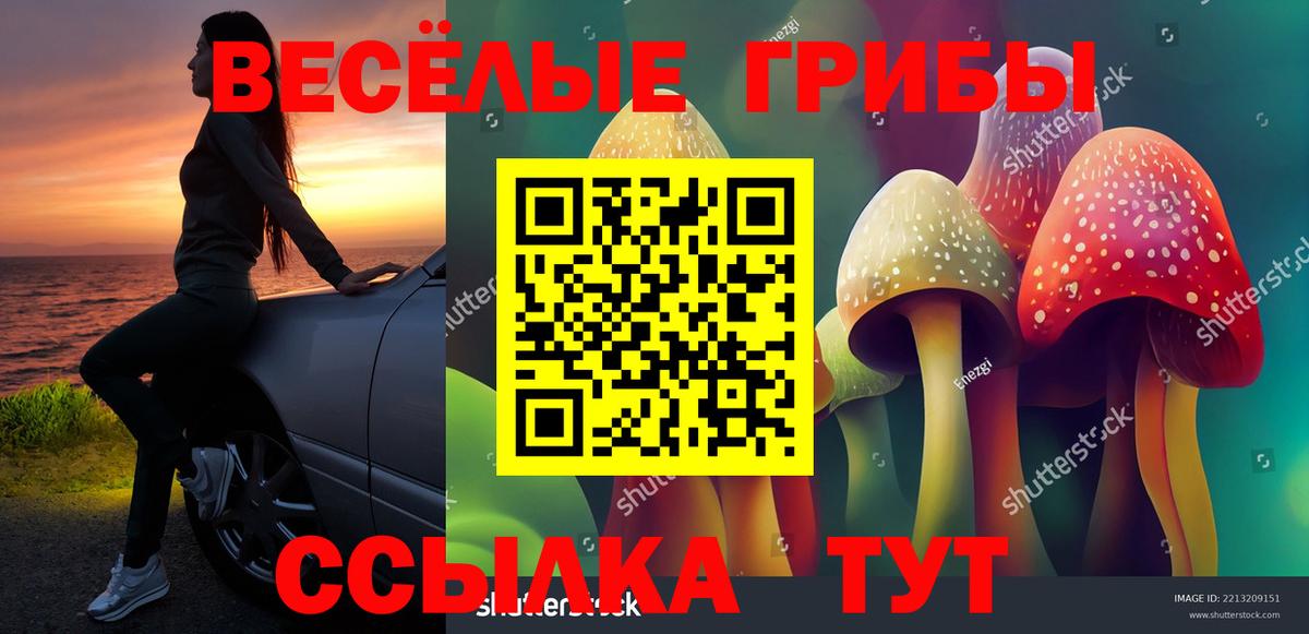 Галлюциногенные грибы MAGIC MUSHROOMS  Псилоцибиновые грибы прущие грибы  Белорецк  Вход с VPN 